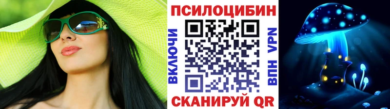 Псилоцибиновые грибы мицелий  darknet Telegram  Вышний Волочёк 